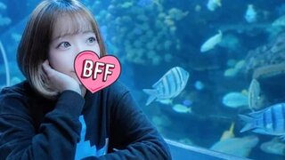 -YUA-jp